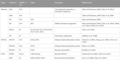 Regulation of SUMOylation on RNA metabolism in cancers